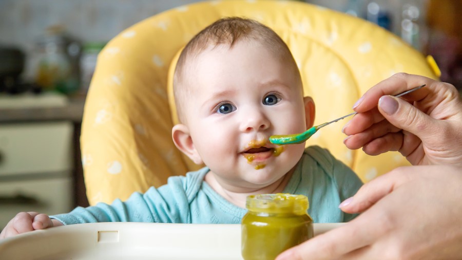 Baby being spoon fed broccoli vegetable puree while sitting in a highchair