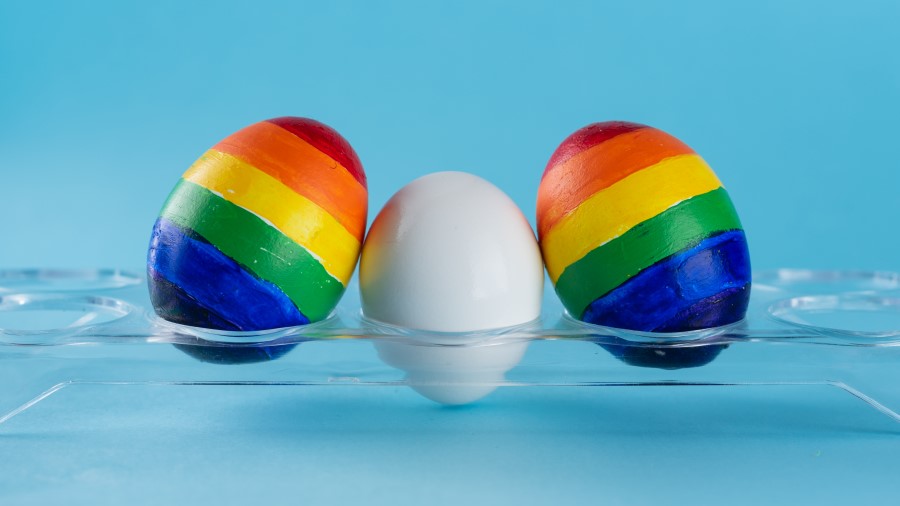 Rainbow eggs for LGBTQ family building